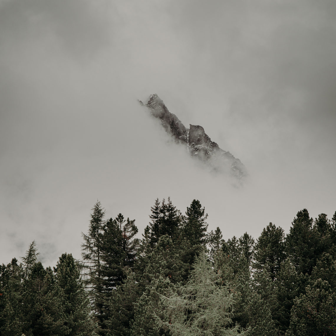 A mountain and trees