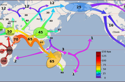 Map of Human Migration