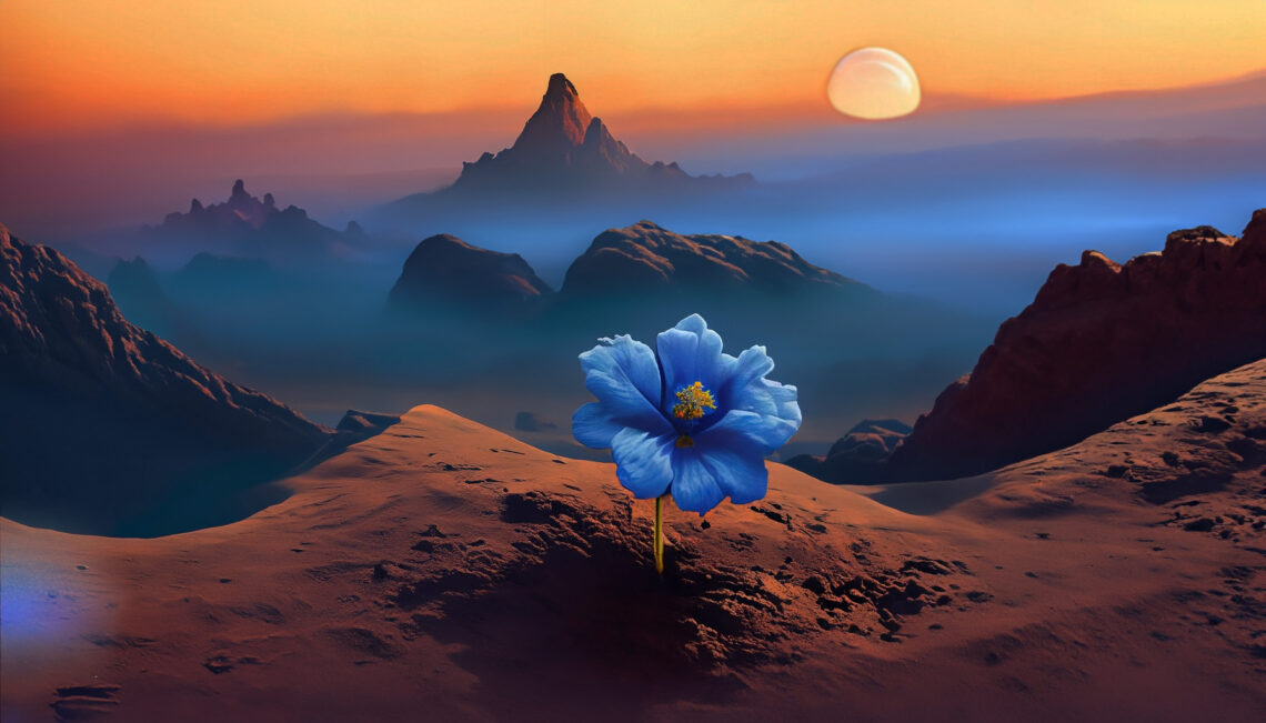 A small blue flower sprouting on the edge of a mountain