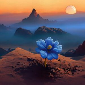 A small blue flower sprouting on the edge of a mountain
