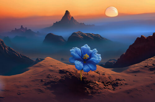 A small blue flower sprouting on the edge of a mountain