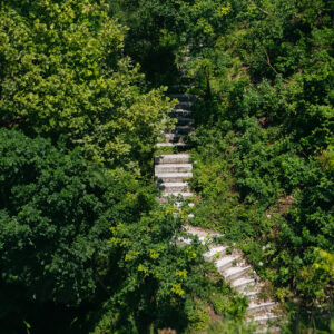 A set of steps proceeding up a wooded area.