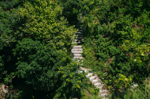 A set of steps proceeding up a wooded area.