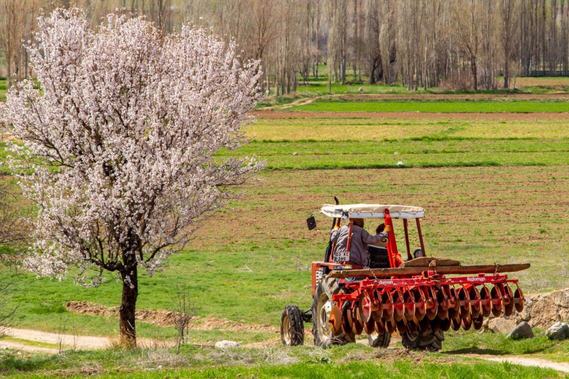 A tractor in a meadow