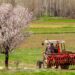 A tractor in a meadow